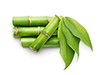 bamboo extract image
