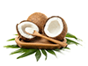 Coconut Oil image