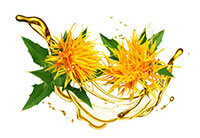safflower seed oil image