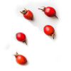 rosehip