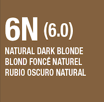 lumishine demi permanent liquid color swatch natural dark blonde 6N