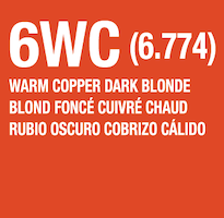 LumiShine Demi-Permanent Liquid Extension 6WC shade