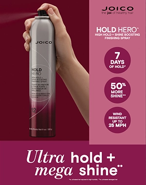 Hold Hero fact sheet cover
